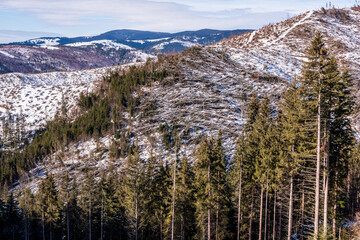 Deforestation after storm in National Park Cheile Bicazului-Hășmaș, Romania. - 562946619