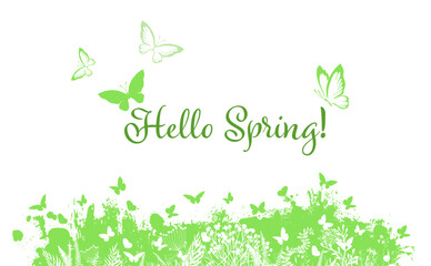 Hello Spring Background With Butterfly, Vector Illustration