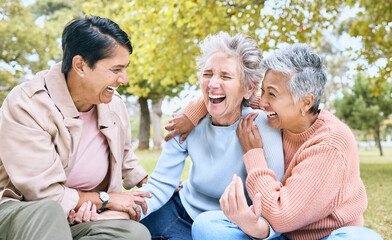Senior women, laughing and bonding in comic joke, funny meme or silly story in nature park, grass garden or environment. Smile, happy and diversity elderly friends with humour in relax retirement fun - obrazy, fototapety, plakaty
