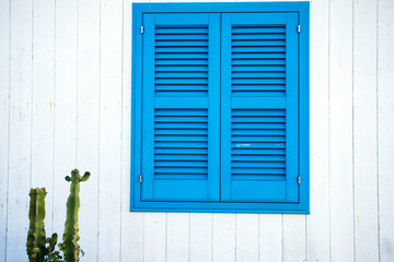 White facade with cactus and blue door on magic Procida Island.