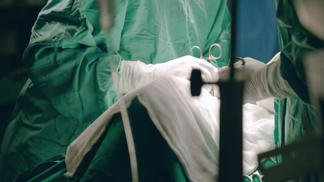 Medium shot. Medical surgeon uses forceps while performing open surgery on patient in a hospital operating theater.
