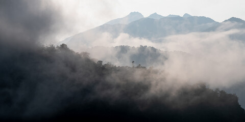 Cloud forest panorama in mist and fog at sunrise, Mindo Cloud Forest, Ecuador.