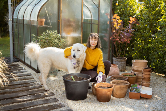 Young woman hugs with her adorable dog while planting flowers in jugs at garden. Housewife gardening and spending time with pet at backyard
