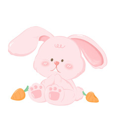 Pinky Rabbit