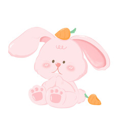 Pinky Rabbit