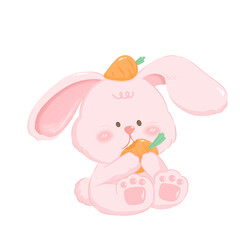 Pinky Rabbit