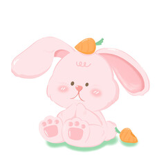 Pinky Rabbit