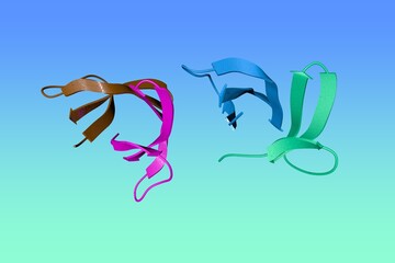 Human defensin-5. Ribbons diagram with differently colored protein chains based on protein data bank entry 1zmp. Scientific background. 3d illustration