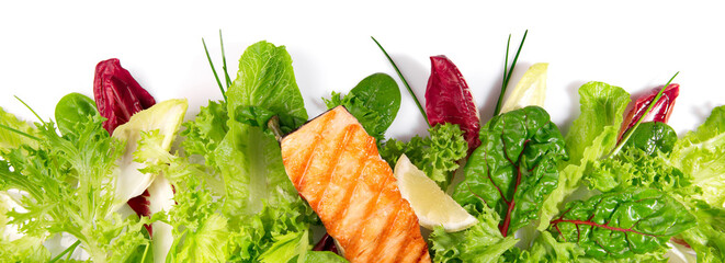 Grilled Salmon Fillet with fresh Salad - Lettuce Panorama isolated on white Background