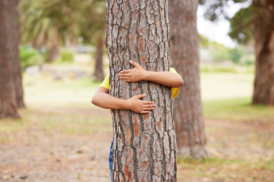 Earth day, sustainability and child with a tree hug for eco friendly environment in a park in Taiwan. Recycle, ecology and kid hugging a trunk in nature for clean energy, love and sustainable woods