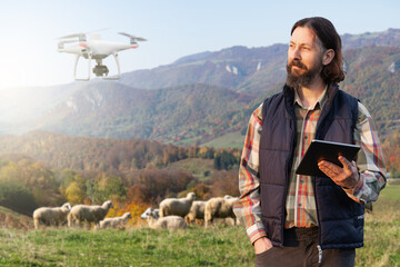 Farmer with digital tablet and drone herding sheep.