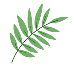 Cute palm leaf illustration