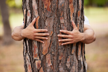 Environment, hands and man hug trees for save the planet, nature deforestation or community support...