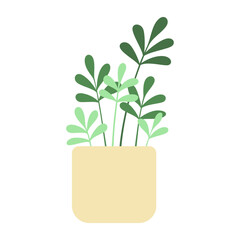 Aesthetic Plant Illustration