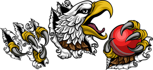 A bald eagle or hawk with claw talons holding a cricket ball and ripping or tearing through the background. Sports Mascot