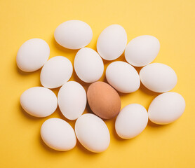White eggs with single brown egg on yellow background