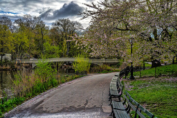 Bow bridge in early spring
