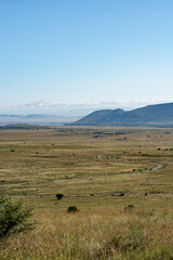 South Africa, Mountain Zebra National Park, landscape with sky