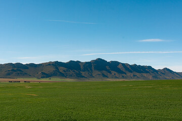 Fototapeta premium South Africa's Landscape from the highway 