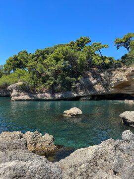 Scenic sea cove with clear turquoise water and pine trees in rocky coast.