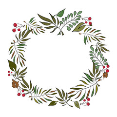 Berries and leaves. Vector illustration. Frame