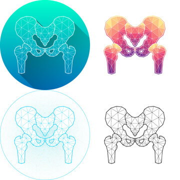 Set of Human Hip Bone and Joint Articular Skeletal System Medical Human Organ Logo Icon Minimalistic Triangulated Polygonal Low Poly, Line Art Isolated on White Background