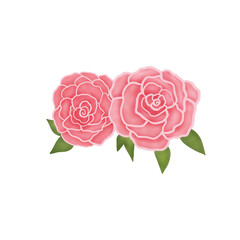 Fototapeta premium Pink Rose. Valentine Symbols. Watercolor Flower. 