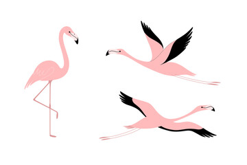 Cartoon flamingo illustration. Cute bird in different poses. Vector illustration for prints, clothing, packaging, stickers.