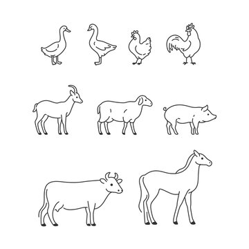 Cute animals icons set - horse, cow, goat, sheep, pig, duck, chick, goose, cock. Vector illustration with farm animals in cartoon style.