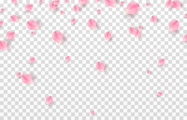 Vector falling rose petals png. Falling sakura petals, roses png. Pink petals png. Petals for Valentine's Day, Mother's Day, March 8. - obrazy, fototapety, plakaty