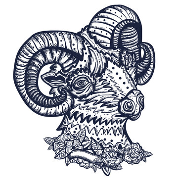 Ram portrait. Mountain goat. Funny ship. Farm animals. Old school tattoo vector art. Hand drawn graphic. Isolated on white. Traditional flash tattooing style