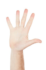 Numbers, showing and hand of a person for communication isolated on a white background in studio. High five, sign language and palm of a man for a warning, conversation and hello on a backdrop