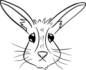 rabbit head drawing in white background