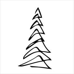 Spruce, pine. Vector sketch drawn by hand. Isolated object on a white background. Template design, clipart, tattoo, logo, sketch, doodles, clipart.
