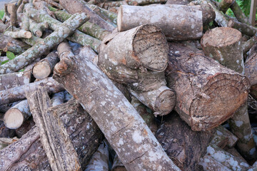 close up and selective focus Pile of wooden logs