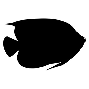 recommend clip art: Peces tropicales. Silueta aislada de pez ángel