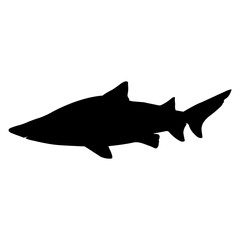 Silueta de tiburón toro