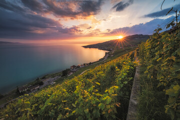 Scenic landscape at sunset, Puidoux, Vaud, Switzerland