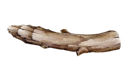 Tree dry branch watercolor illustration. Hand drawn botanical tree stick element. Dry laying timber natural decoration. Beautiful curved big branch element. Tree trunk on white background.