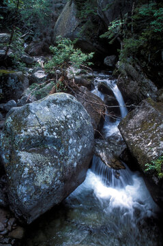 Cascading creek along the Appalachian Trail up Mount Katahdin in Baxter State Park, northern Maine.