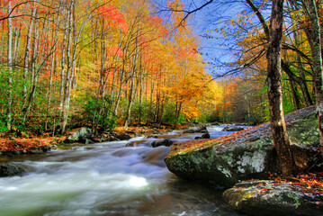 Great Smoky Mountains National Park