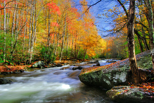 Great Smoky Mountains National Park - Powered by Adobe