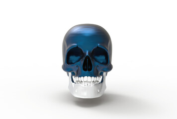 metallic skull model