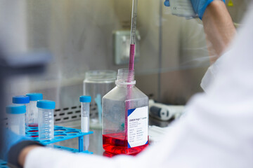 Fototapeta premium Cell culture experiments at safety cabinet