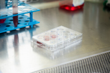 cell culture laboratory