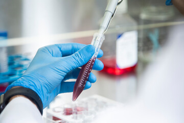 cell culture laboratory