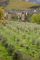 Landscape view of the beautiful douro river valley in Portugal