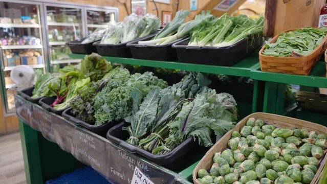 Fresh produce on sale at a grocery store. Green vegetables in the produce section of a grocery store. Organic vegetables in a grocery store including kale, brussel sprouts, asparagus, lettuce, celery.