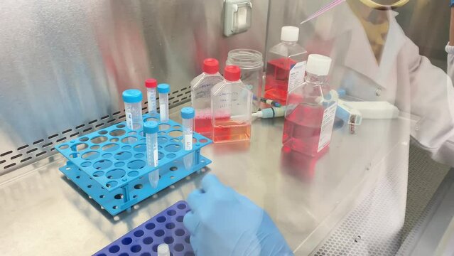 Cell culture laboratory 