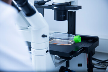 cell culture laboratory